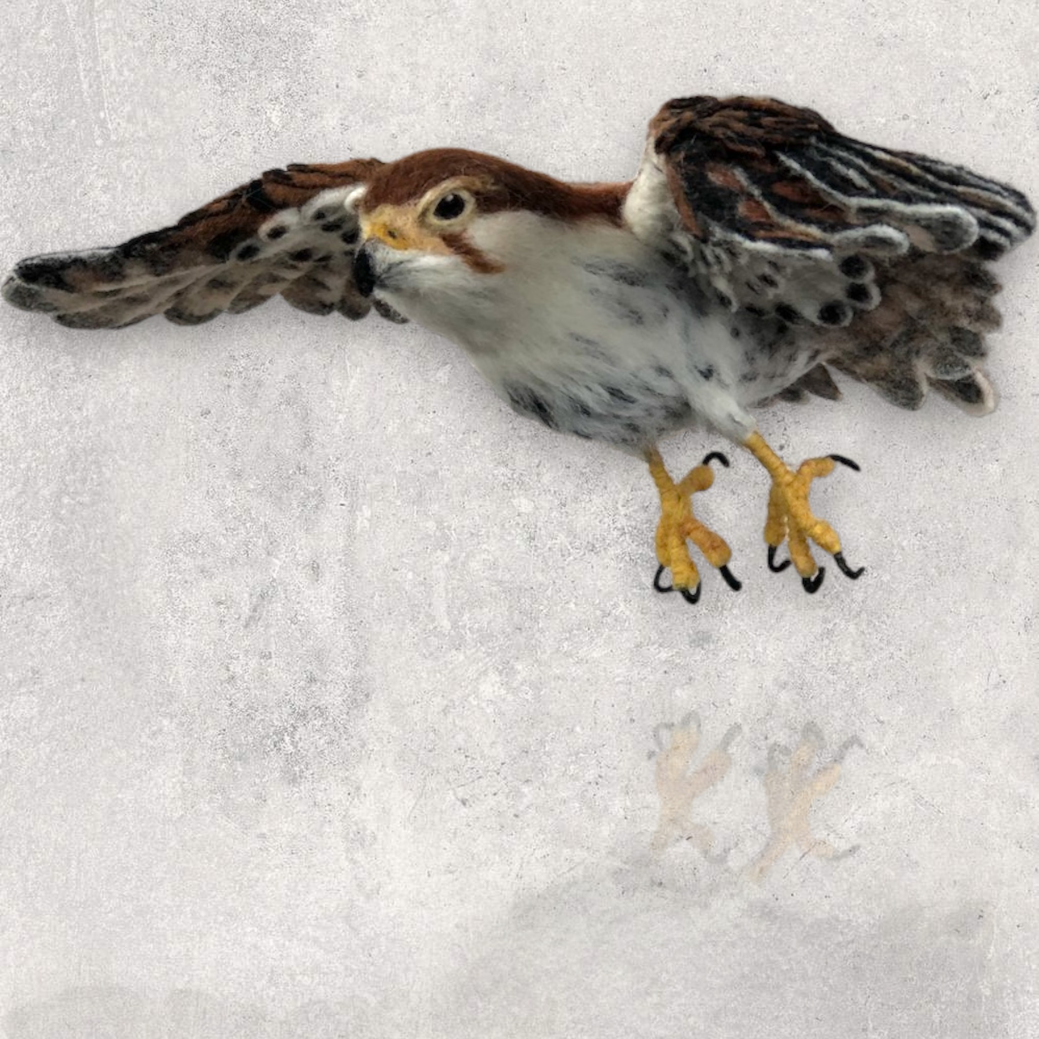 Mauritius Kestrel taking off Sculpture